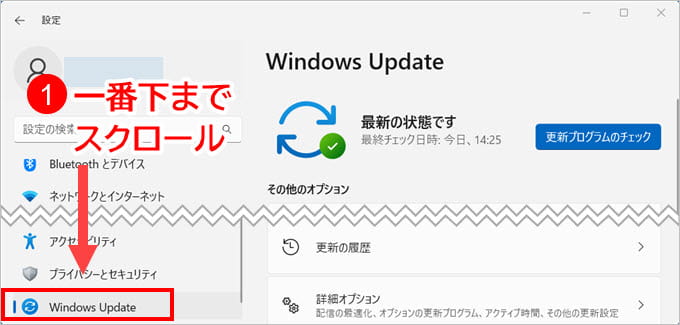 Windows Update Windows11